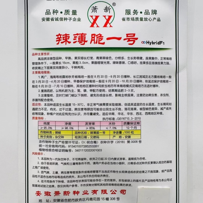 早熟杂交辣椒种子果面褶皱光亮香辣口感好干鲜两用