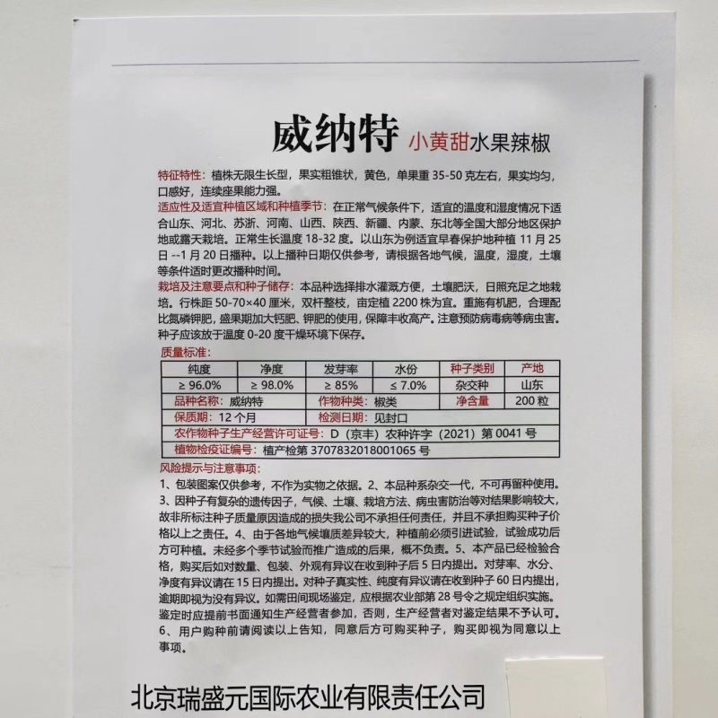 杂交水果辣椒种子植株无限生长型果色黄色甜度高口感好