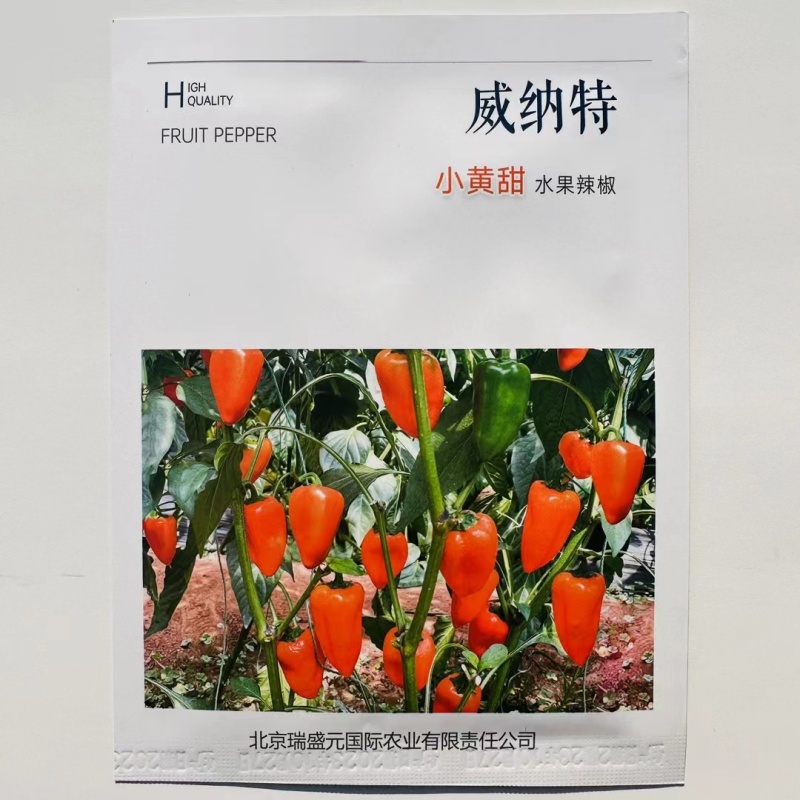 杂交水果辣椒种子植株无限生长型果色黄色甜度高口感好