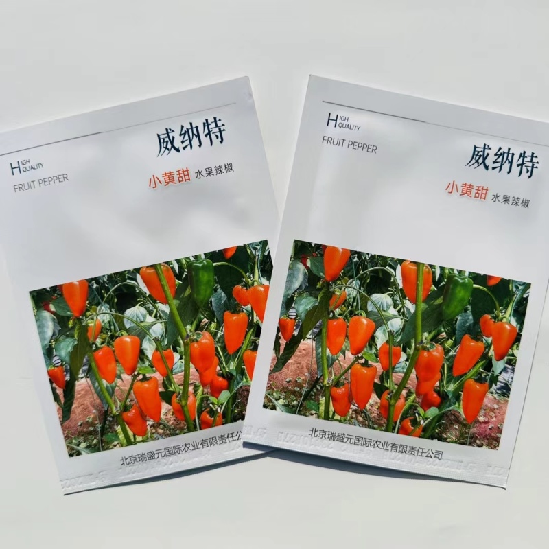 杂交水果辣椒种子植株无限生长型果色黄色甜度高口感好