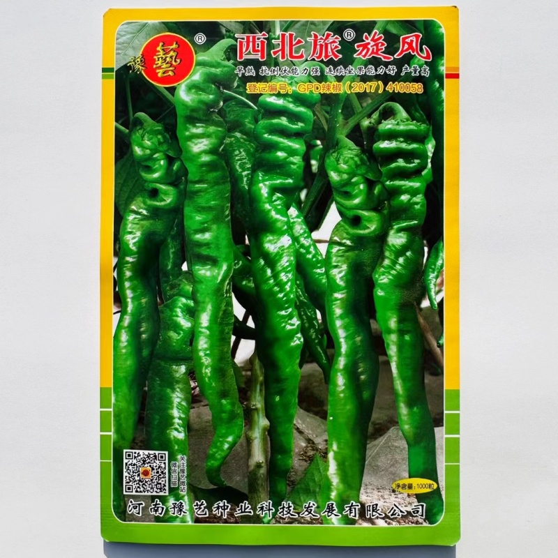 杂交早熟高产型螺丝椒种子皮薄肉脆口感好丰产稳产抗病