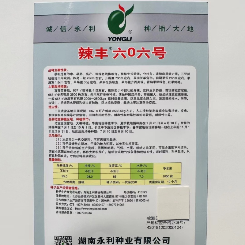 杂交早熟高产线椒种子果颜色深绿条型顺直光亮整齐商品性好