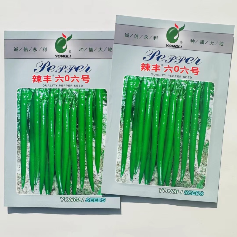 杂交早熟高产线椒种子果颜色深绿条型顺直光亮整齐商品性好