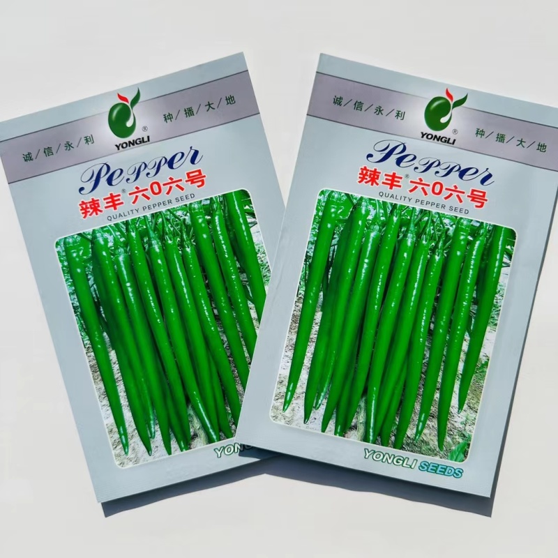 杂交早熟高产线椒种子果颜色深绿条型顺直光亮整齐商品性好