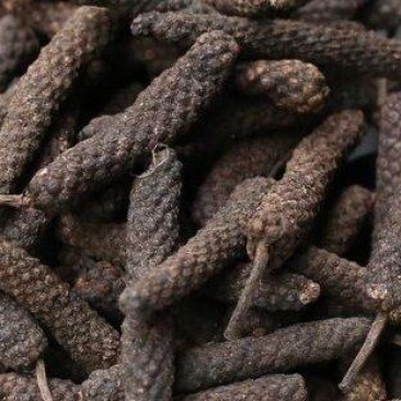 荜拨毕波荜卜荜勃荜茇