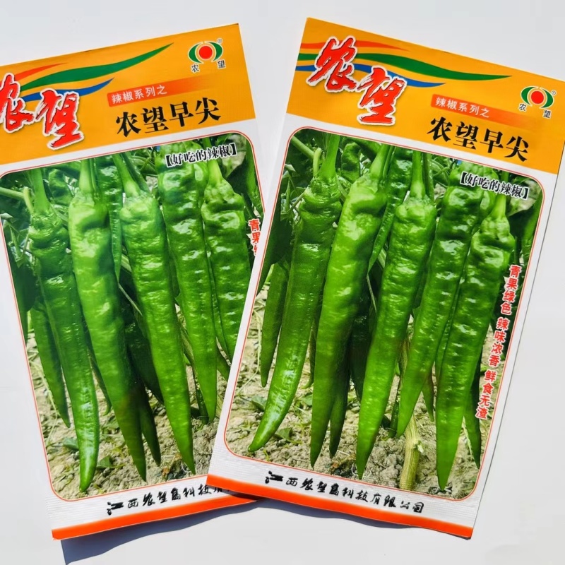 杂交早熟羊角椒种子青果绿色偏深皮薄辣味浓大田用种