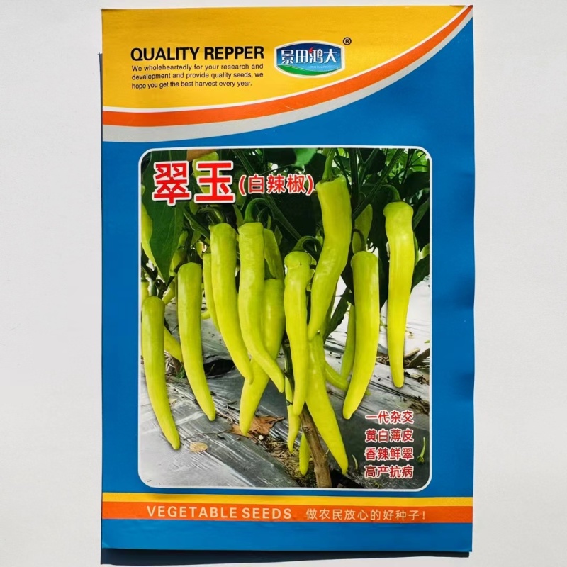 一代杂交早熟辣椒种子果黄白色肉厚产量高抗热性强淹酸加工
