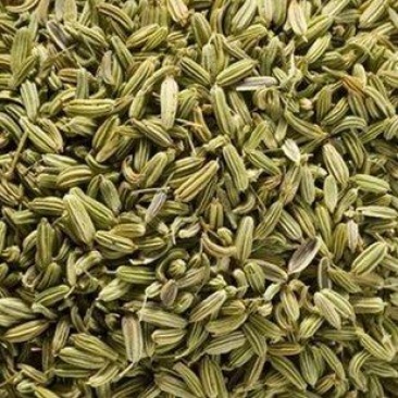 茴香茴香子茴香籽