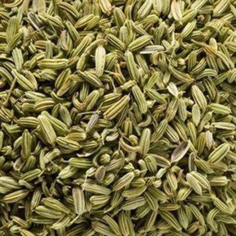 茴香茴香子茴香籽