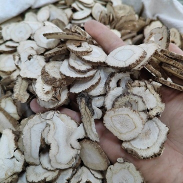 重庆白芷质量保证大量供应可视频看货欢迎来电咨询洽谈