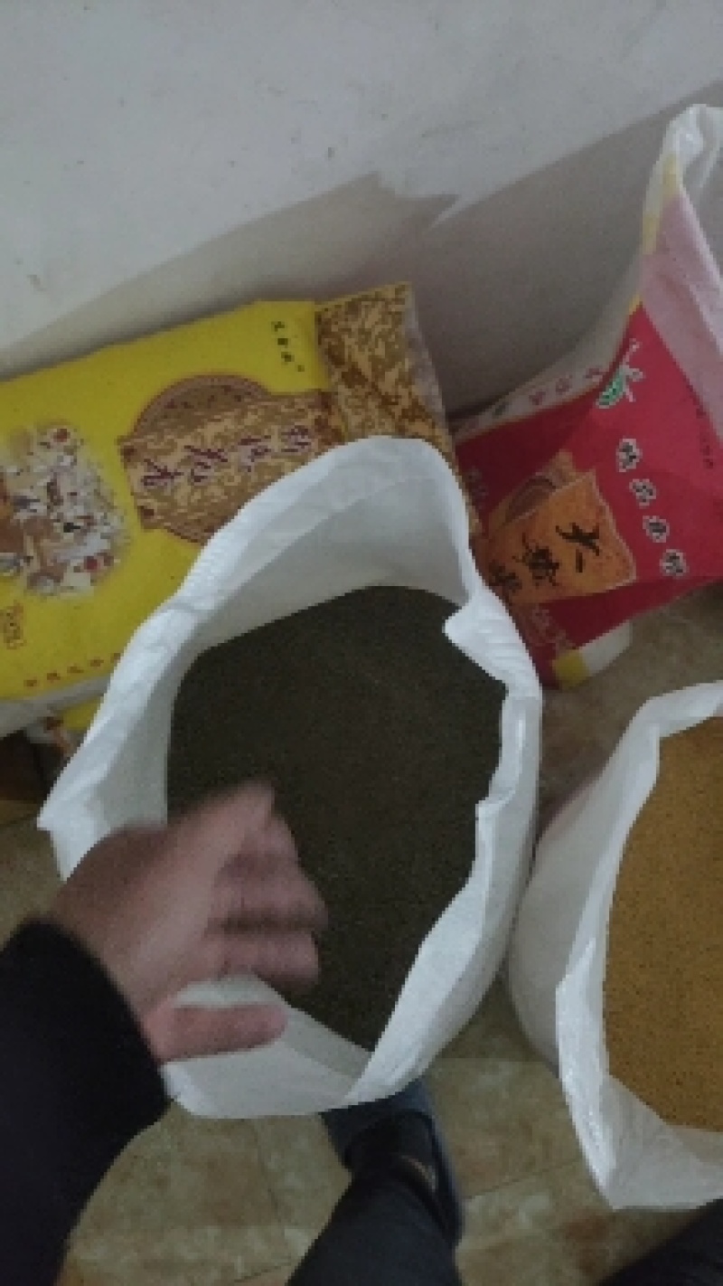 山西原产地晚收黑小米，厂家直发，承接全国代理商