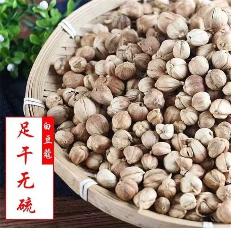 精品白蔻产地供应价格真实品质保证欢迎来电咨询洽谈