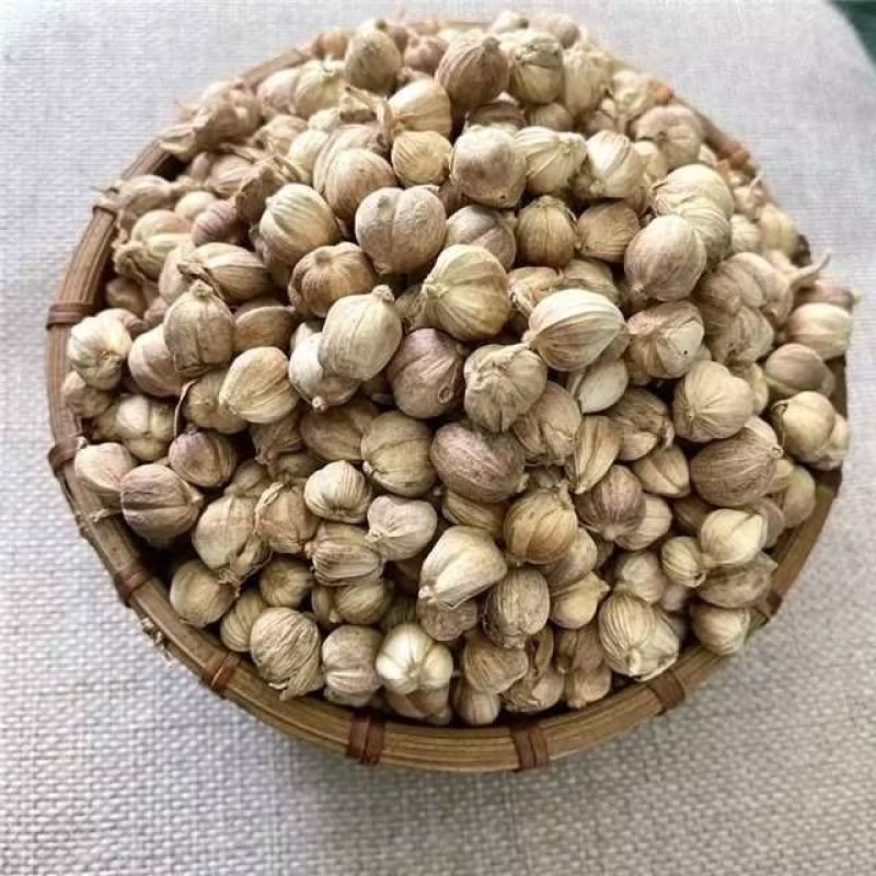 精品白蔻产地供应价格真实品质保证欢迎来电咨询洽谈