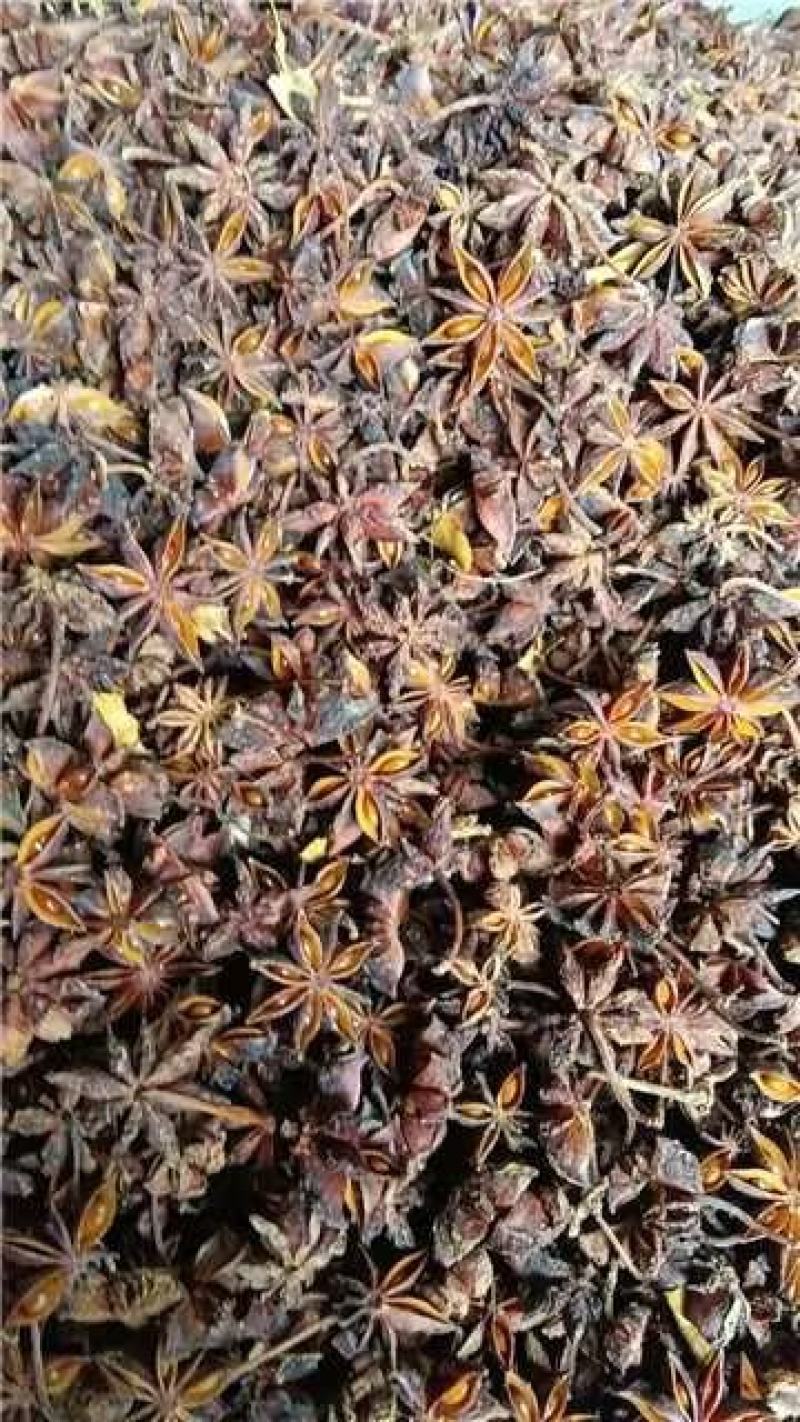 精品大红八角，大量供应一手货源，品质保障，产地供应，欢迎致电