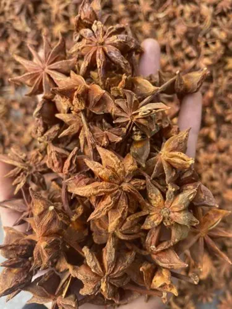 精品大红八角，大量供应一手货源，品质保障，产地供应，欢迎致电