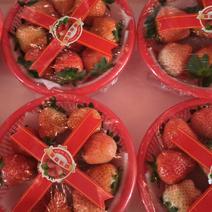宁玉妙香草莓大量上市，欢迎全国各地客商前来采购。