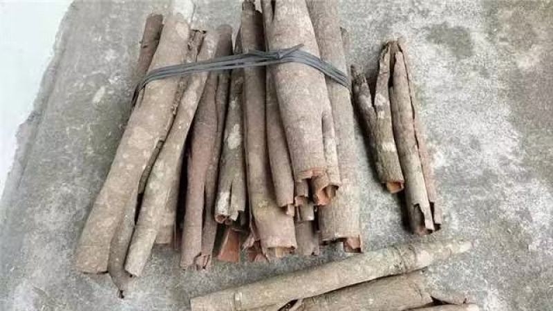 【推荐】精品桂皮自产自销，基地种植，现货现发价格优惠