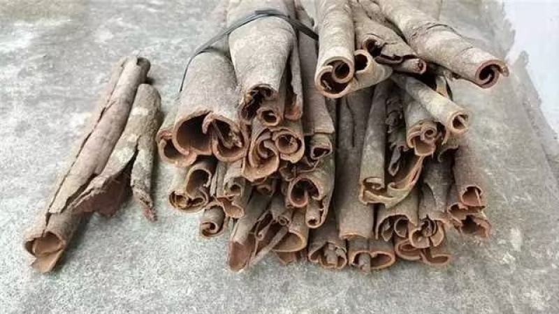 【推荐】精品桂皮自产自销，基地种植，现货现发价格优惠