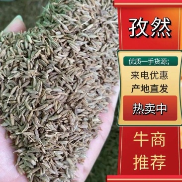 【推荐】孜然，颗粒饱满，香味浓郁，规格多样，产地批发价