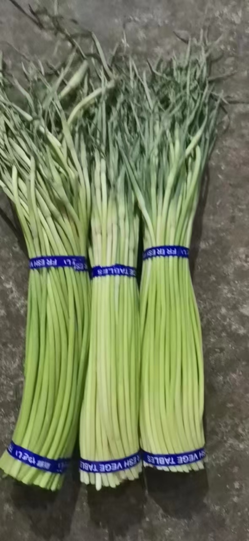 新鲜精品蒜苔，大量供应，电商，商超，市场