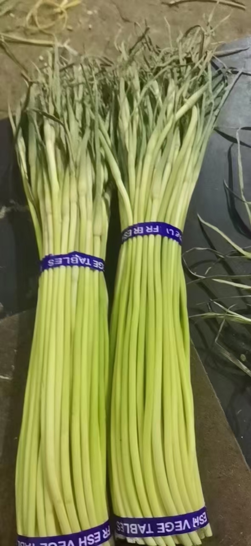 新鲜精品蒜苔，大量供应，电商，商超，市场
