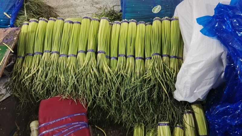 新鲜精品蒜苔，大量供应，电商，商超，市场