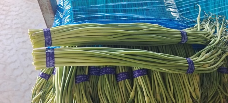 新鲜精品蒜苔，大量供应，电商，商超，市场