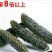 淡干海参小黑刺参干货泡发率高滋补营养美味包邮