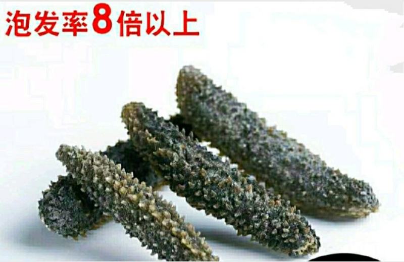 淡干海参小黑刺参干货泡发率高滋补营养美味包邮