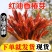 香椿现货香椿芽嫩芽红油春天菜乡村蔬菜新鲜当季香椿芽现货顺