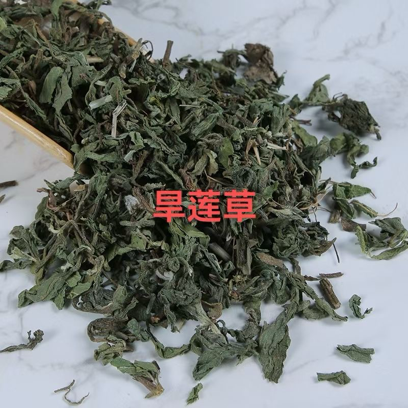 墨旱莲旱莲草野生