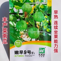 嫩早9号南瓜种子丰产菜南瓜一串铃南瓜种子早熟小南瓜种籽