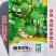 嫩早9号南瓜种子丰产菜南瓜一串铃南瓜种子早熟小南瓜种籽