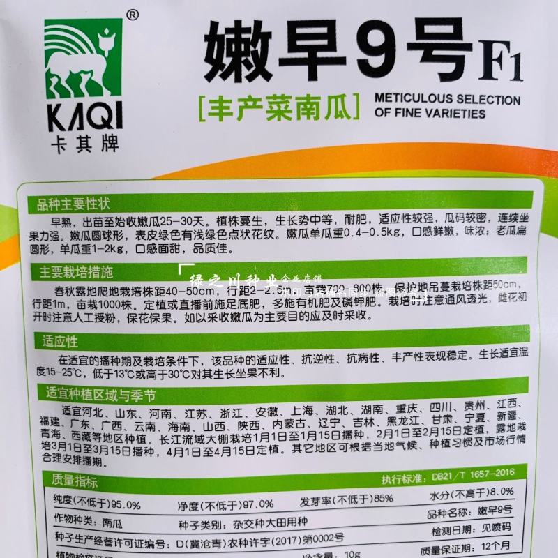嫩早9号南瓜种子丰产菜南瓜一串铃南瓜种子早熟小南瓜种籽