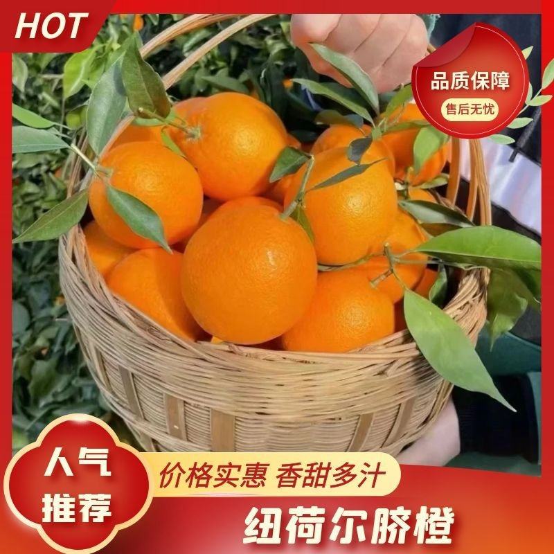 [热卖]橙子精品秭归脐橙纽荷尔脐橙湖北橙子产地直销