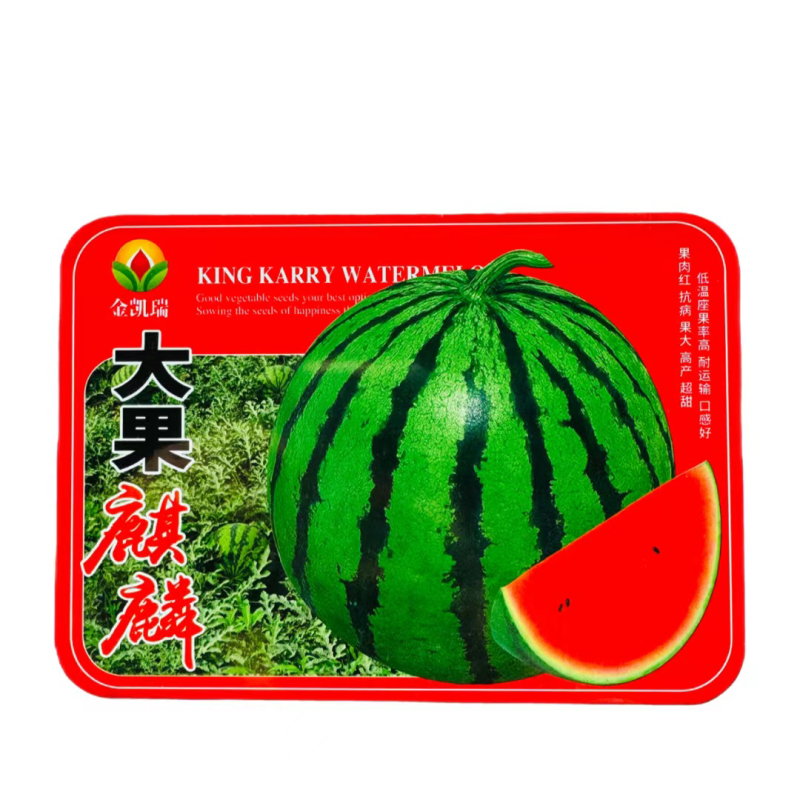 金凯瑞大果麒麟瓜品种，早熟品种红瓤品种种子