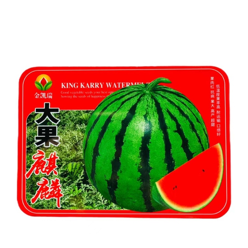 金凯瑞大果麒麟瓜品种，早熟品种红瓤品种种子