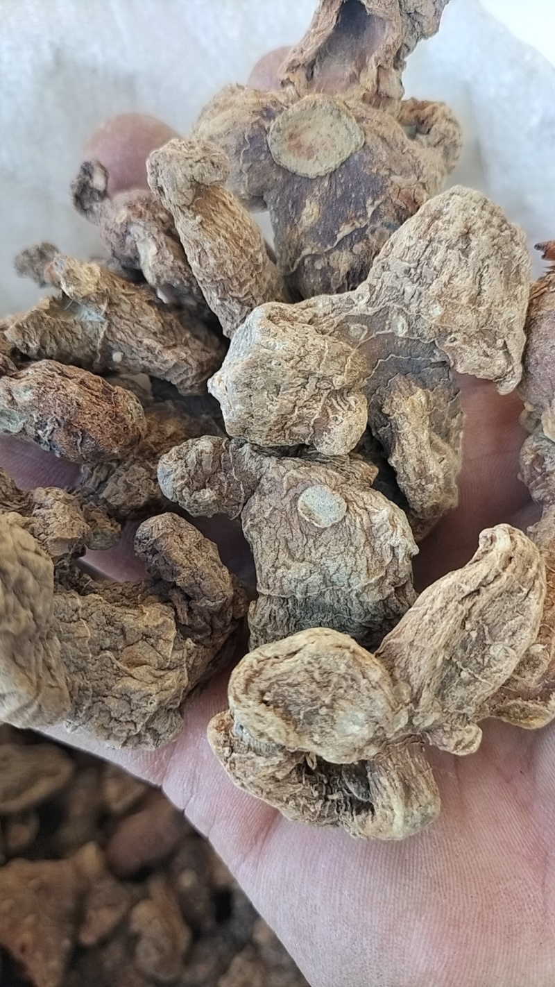 黄精，纯野生晒干货，统货，欢迎订购