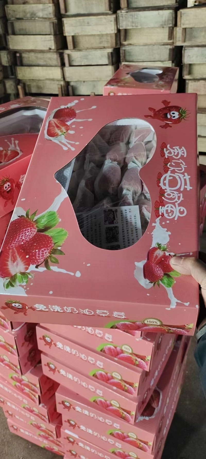 免洗草莓套袋草莓穿衣奶油草莓精美礼品电销热品欢迎联系