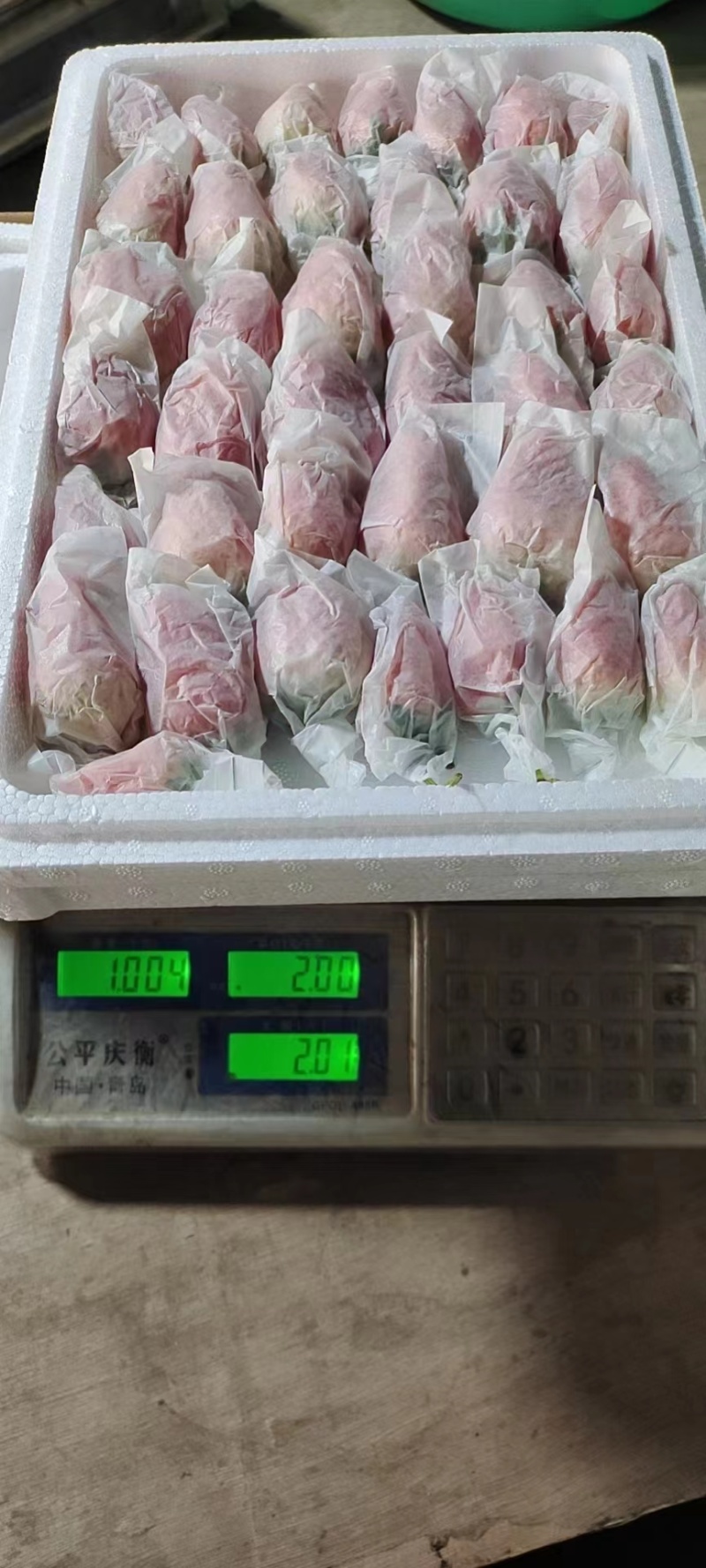 免洗草莓套袋草莓穿衣奶油草莓精美礼品电销热品欢迎联系