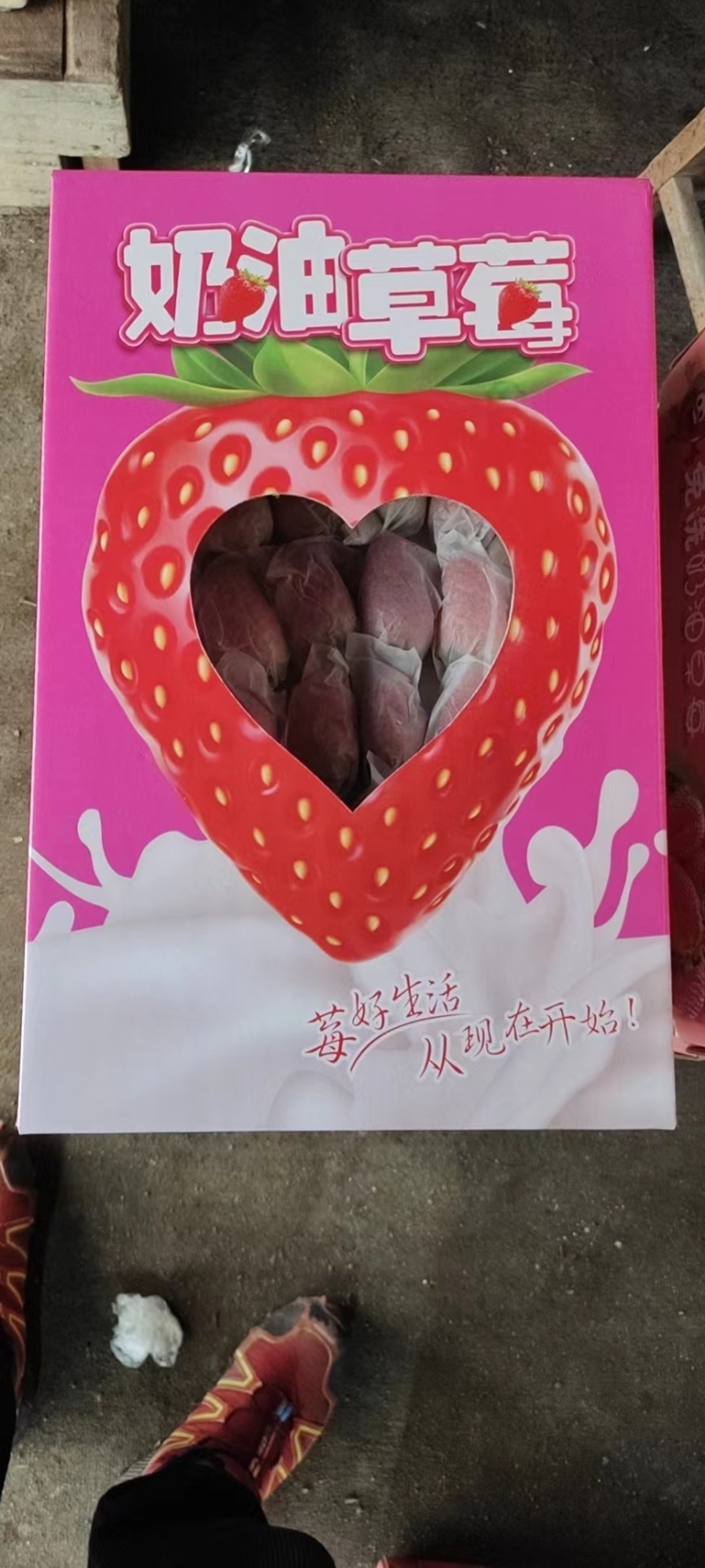 免洗草莓套袋草莓穿衣奶油草莓精美礼品电销热品欢迎联系