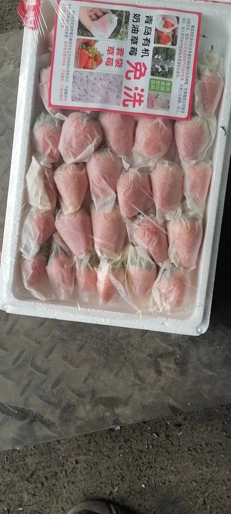 免洗草莓套袋草莓穿衣奶油草莓精美礼品电销热品欢迎联系