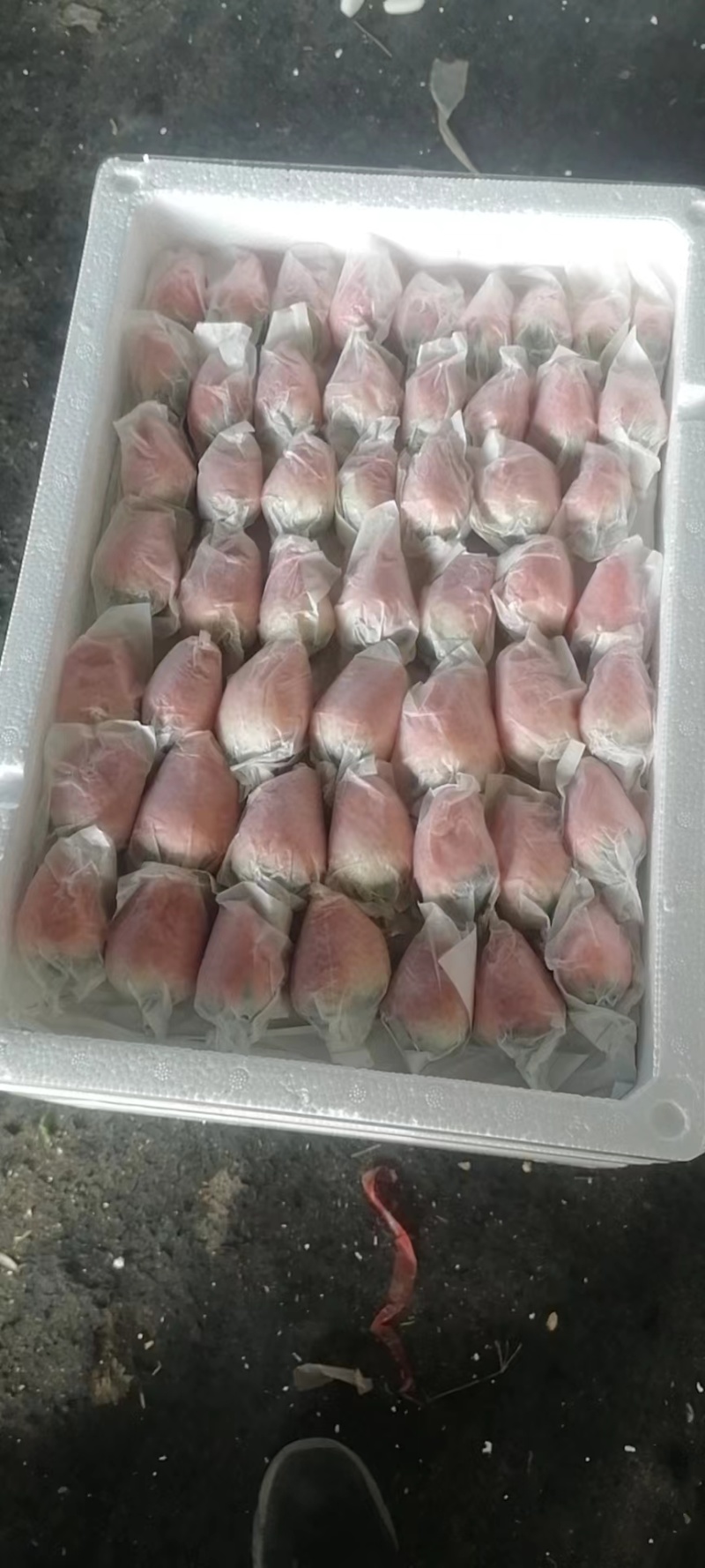 免洗草莓套袋草莓穿衣奶油草莓精美礼品电销热品欢迎联系