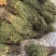 独脚金，独脚甘，孩儿草，一年四季货原充足，一件代发