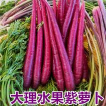 云南大理农家紫胡萝卜生迷你小胡萝卜生吃水果紫玉新鲜萝卜