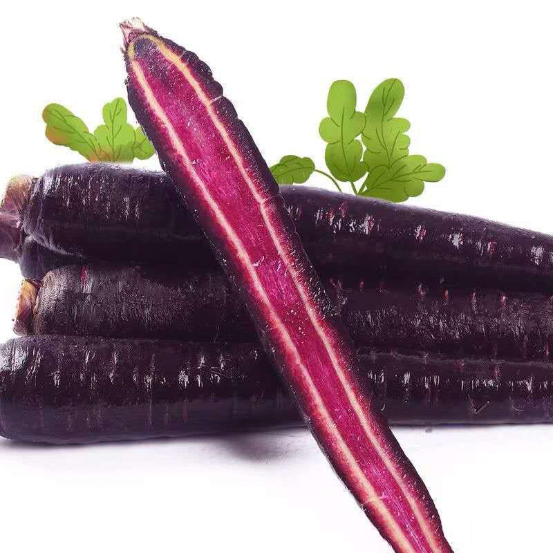 紫胡萝卜胡萝卜蔬菜当季新鲜食材紫胡萝卜包邮