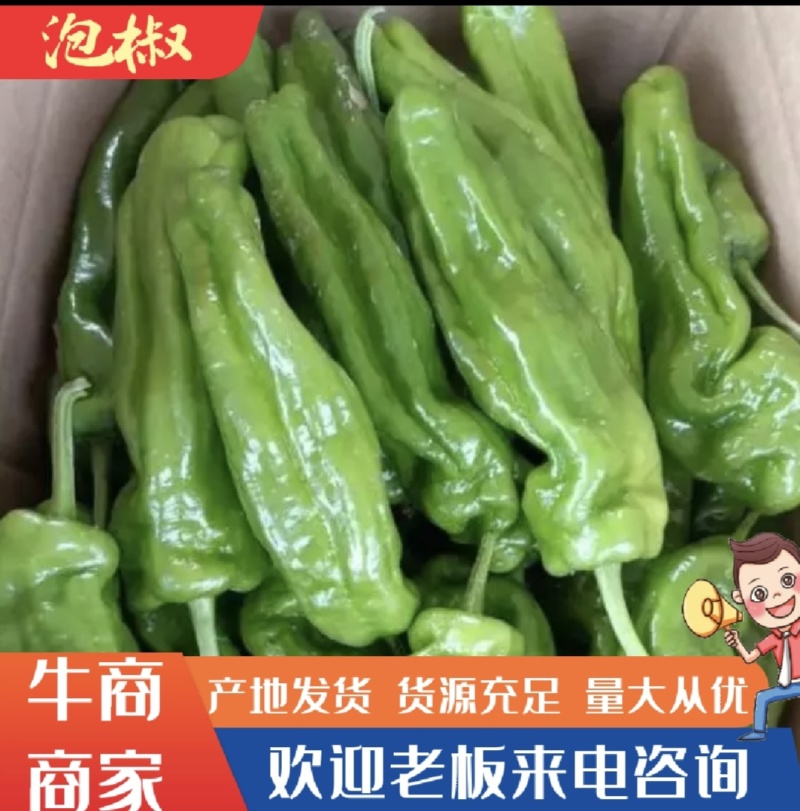 【云南德宏泡椒】各种青椒，产地直发，质量有保证，欢迎来电