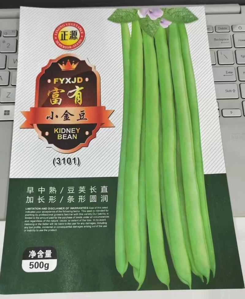 无筋豆种子富有小筋豆加长型结荚密荚条顺直圆润早中熟