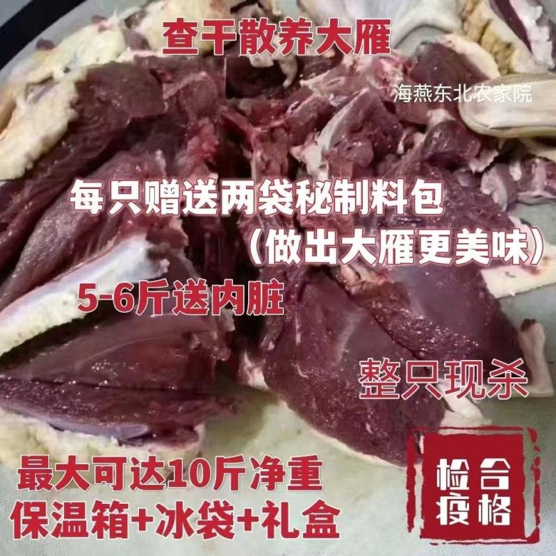 【整只大雁鹅】新鲜9斤大鹅现杀大雁整只鹅鹅肉农家散养坏