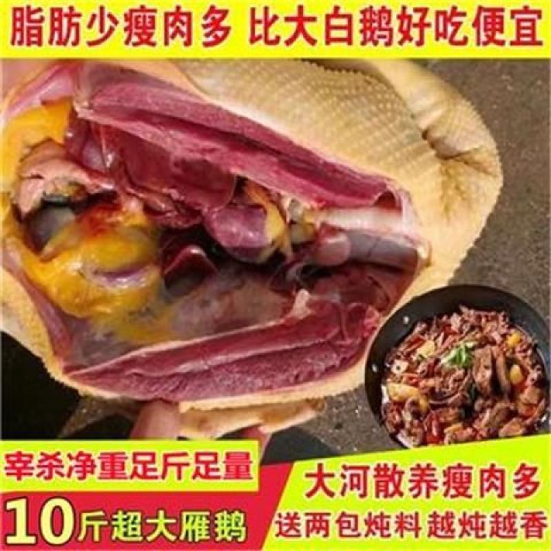 【整只大雁鹅】新鲜9斤大鹅现杀大雁整只鹅鹅肉农家散养坏